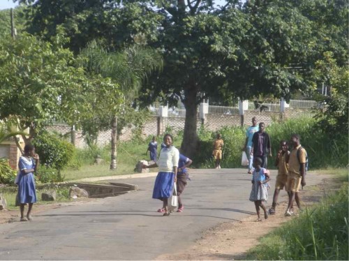 Morning commuting traffic past our house. Note the ‘Walk & Talk’ facilitation technique plus lots of smiling and laughing. 