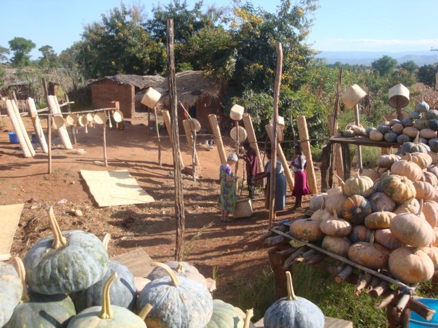 Buying baskets on the way back. No such confusion here.